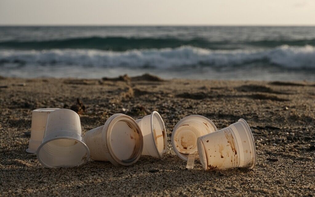 כוסות חד פעמיות על חוף הים. אלוסטרציה (צילום: iStock)