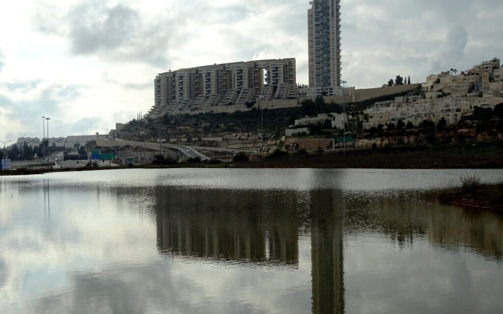 האגם בעמק הצבאים בירושלים (צילום: דב גרינבלט/החברה להגנת הטבע)