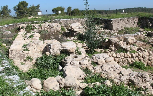 העיר המקראית צקלג פעלה במאה ה-12 לפני הספירה (צילום: שמואל בר-עם)