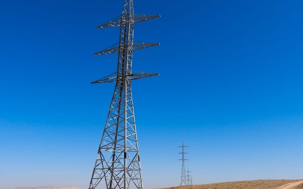 עמודי החשמל שהוצבו במכתש רמון, פברואר 2021 (צילום: דב גרינבלט, החברה להגנת הטבע)