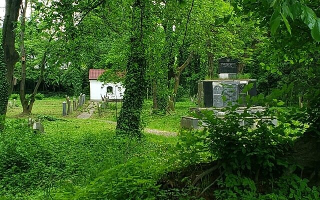 בית הקברות היחיד שנותר באושווינצ&#039;ים, פולין, במאי 2019. ערב מלחמת העולם השנייה חיו פה כ-8,000 יהודים (צילום: מאט ליבוביץ&#039;, זמן ישראל)