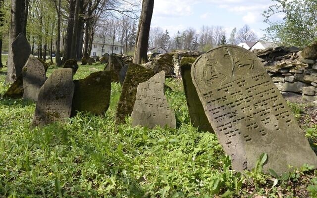 מצבות יהודיות בכפר נובי ז&#039;מיגרוד בפולין, שם חיו 800 יהודים (כ-40% מהתושבים) בשנת 1939 (צילום: באדיבות קריסטוף בילאוסקי)