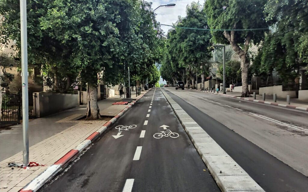 סימון כיוון על שבילי האופניים ברחוב דיזנגוף בתל אביב, ינואר 2021 (צילום: עמוד הפייסבוק של מיטל להבי)