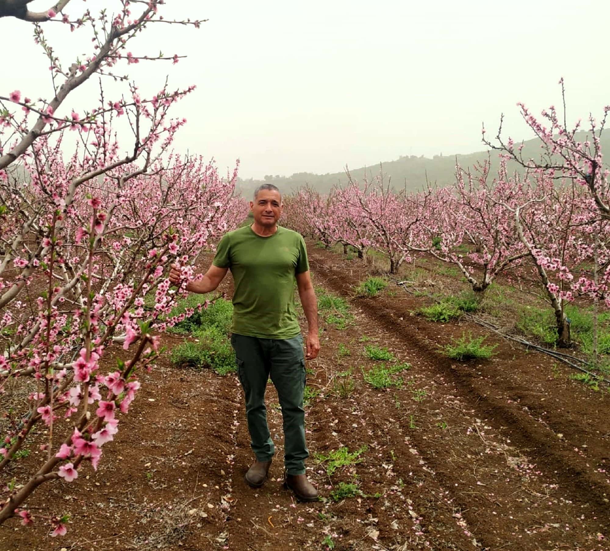ירון בלחסן, מנכ&quot;ל ארגון מגדלי הפירות בפריחת הנקטרינה (צילום: ארגון מגדלי הפירות בישראל)
