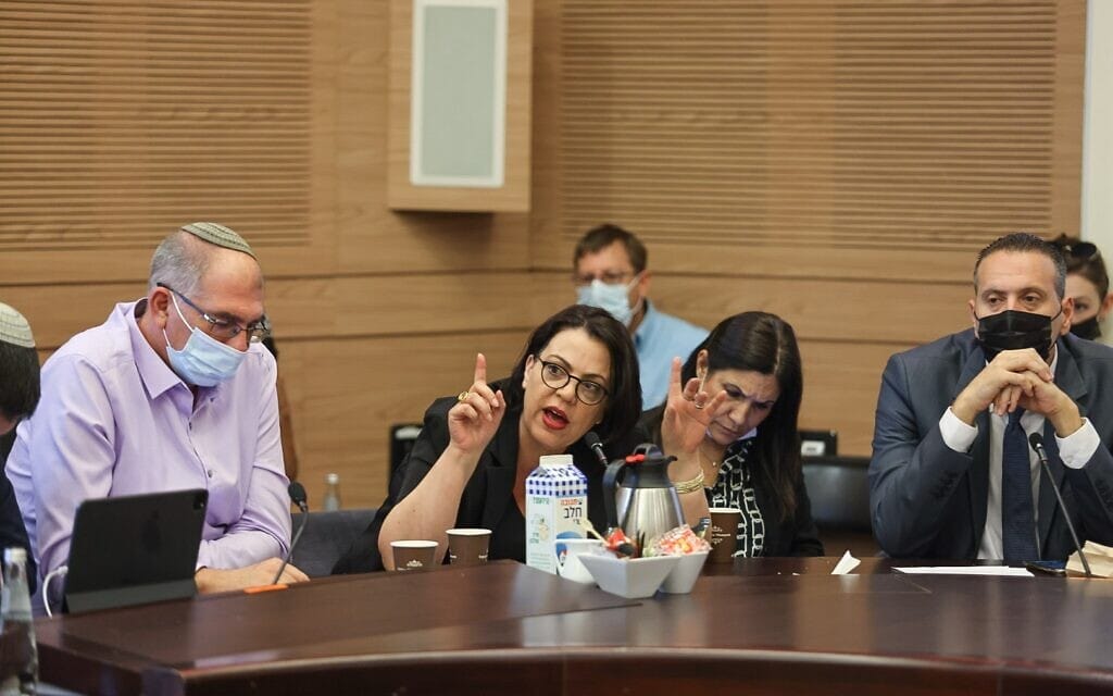 גלית דיסטל-אטבריאן בוועדה המסדרת, 28.6.2021 (צילום: דוברות הכנסת נועם מושקוביץ) גלית דיסטל-אטבריאן בוועדה המסדרת, 28.6.2021 (צילום: דוברות הכנסת נועם מושקוביץ)