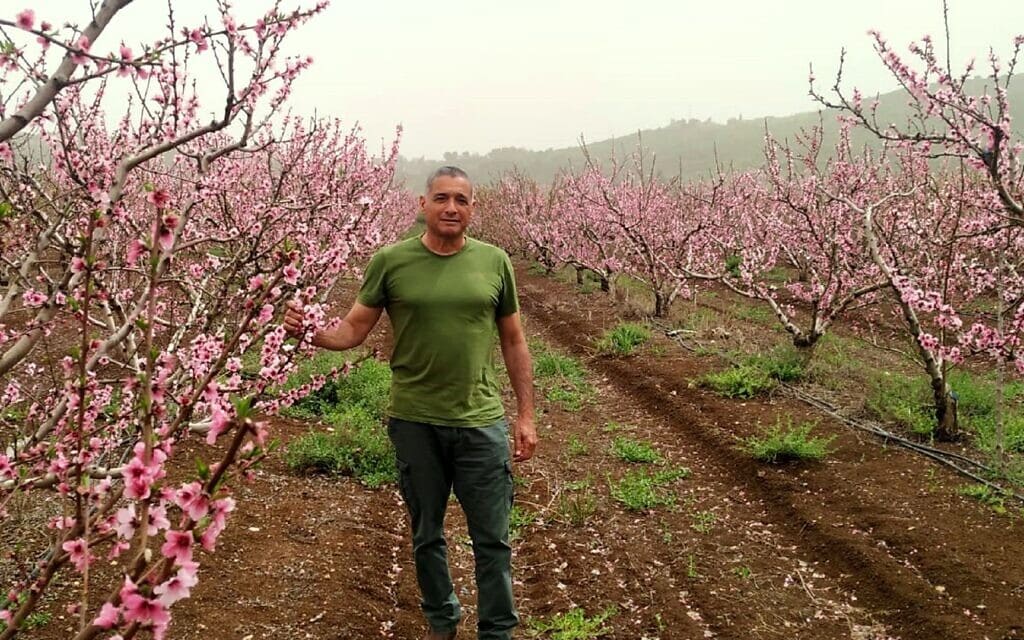 ירון בלחסן, מנכ&quot;ל ארגון מגדלי הפירות בפריחת הנקטרינה (צילום: ארגון מגדלי הפירות בישראל)