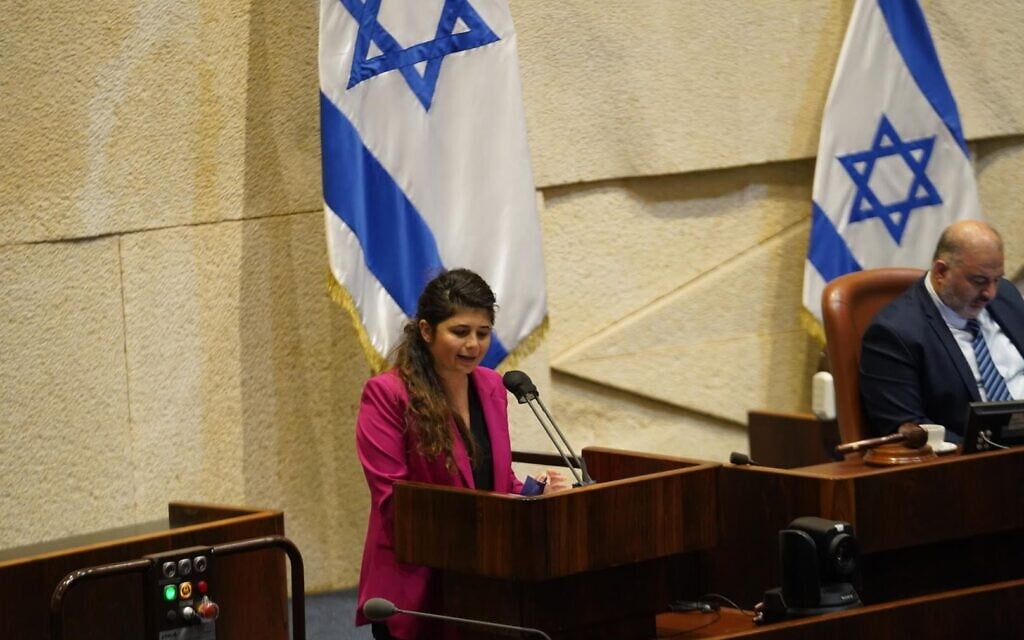 חברת הכנסת שרן השכל במליאת הכנסת, 28 ביולי 2021 (צילום: דוברות הכנסת - נועם מושקוביץ) חברת הכנסת שרן השכל במליאת הכנסת, 28 ביולי 2021 (צילום: דוברות הכנסת - נועם מושקוביץ)