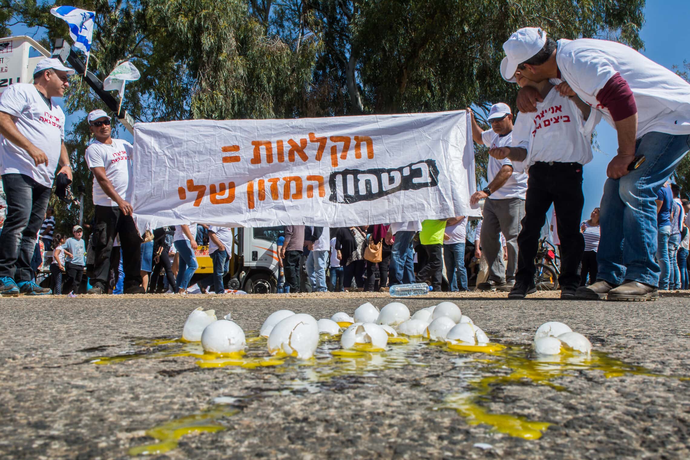 חקלאים מפגינים נגד ביטול מכסות הביצים, 2016 (צילום: באסל עווידאת, פלאש 90)