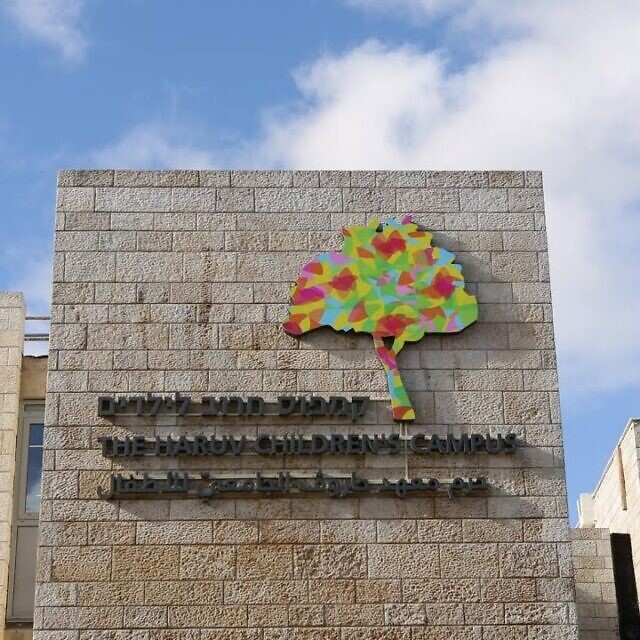 קמפוס הילדים של מכון חרוב באוניברסיטה העברית בירושלים (צילום: צילום מסך, יוטיוב)