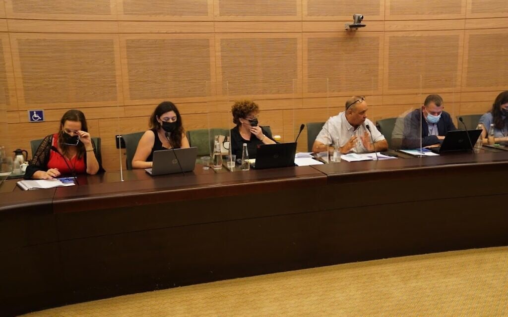 דיון על ועדת החריגים של הטיסות בוועדת החוקה של הכנסת, 29.7.2021 (צילום: דני שם טוב, ועדת החוקה) דיון על ועדת החריגים של הטיסות בוועדת החוקה של הכנסת, 29.7.2021 (צילום: דני שם טוב, ועדת החוקה)
