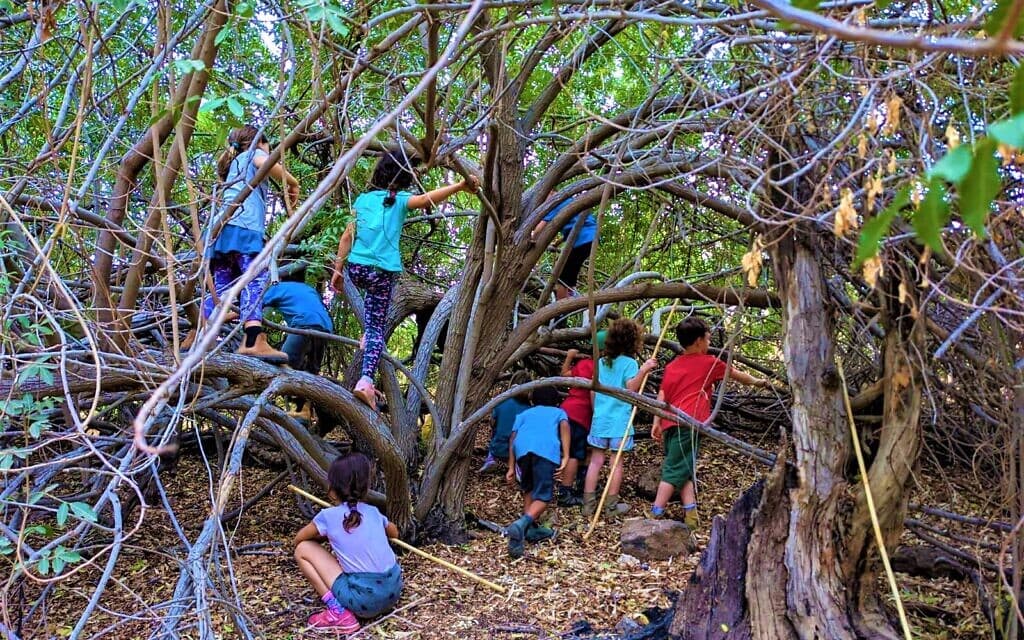 כיתת לימוד בבית ספר יער &quot;נפתלי ביער&quot; ביבנאל (צילום: עמוד הפייסבוק של &quot;נפתלי ביער&quot;)