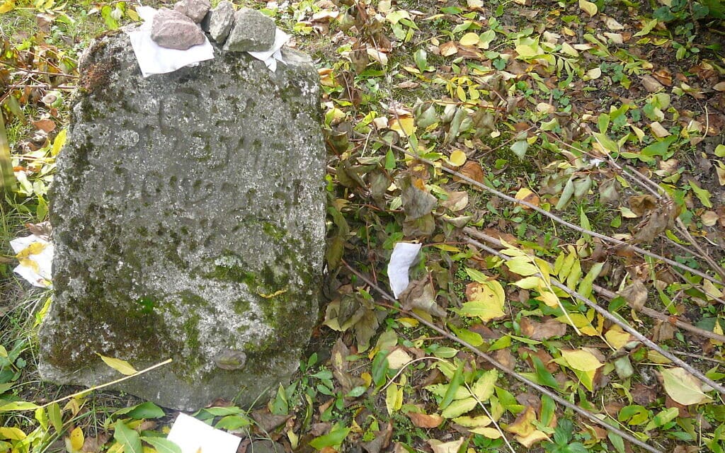בית הקברות היהודי הישן במיינץ, אבן זיכרון לרבנו גרשום (צילום: יגאל אבידן)