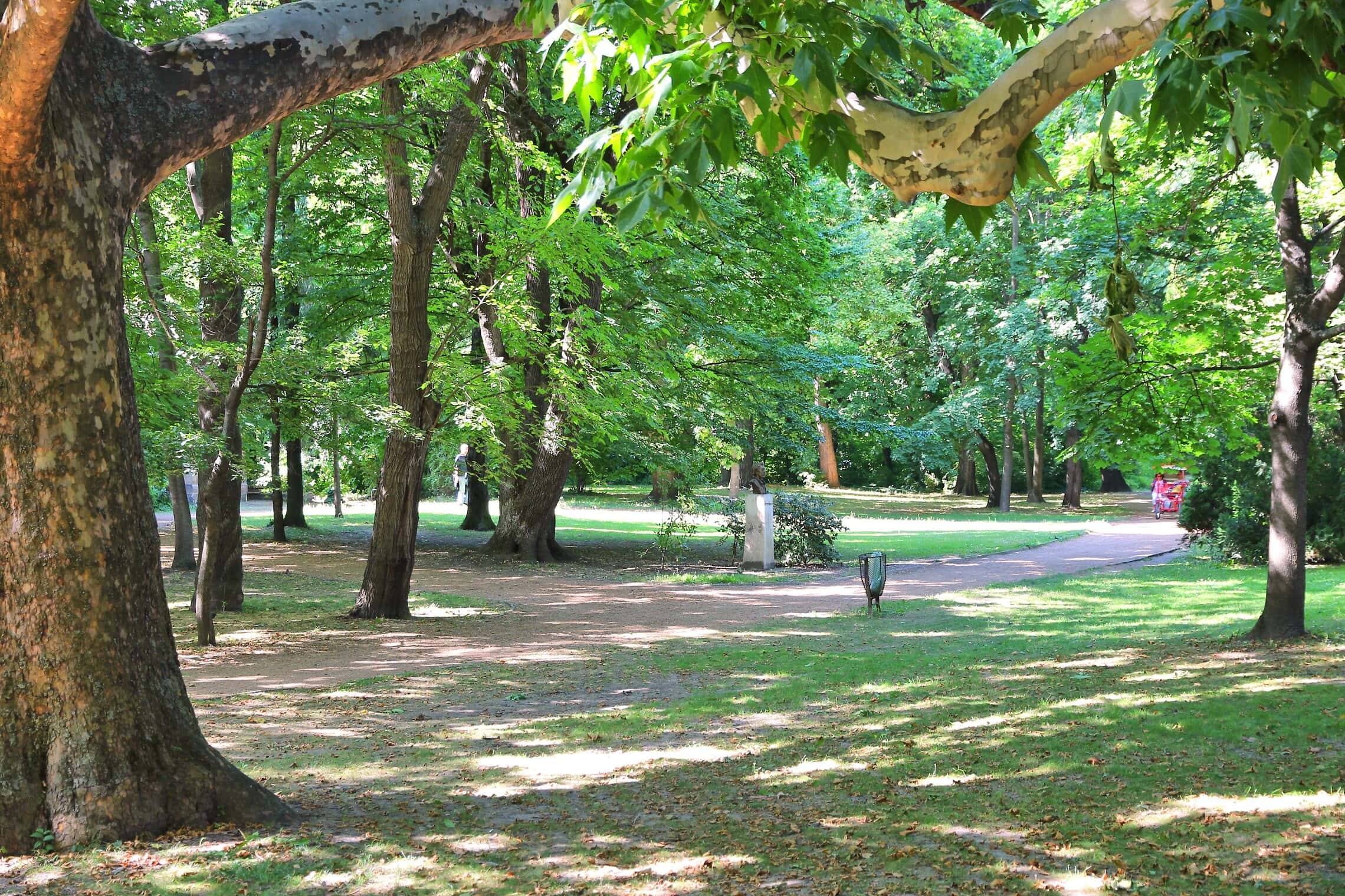 שבילי טיול בפארק שעל האי מרגיט בבודפשט (צילום: iStock)