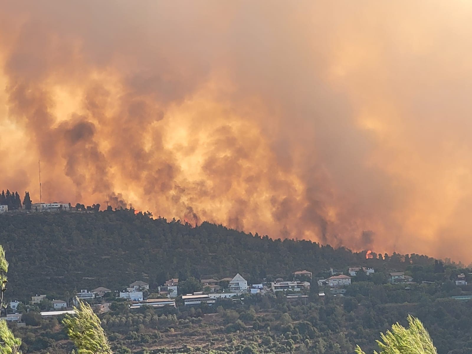 שרפה בהרי ירושלים, אוגוסט 2021 (צילום: אריאל קדם / רשות הטבע והגנים)