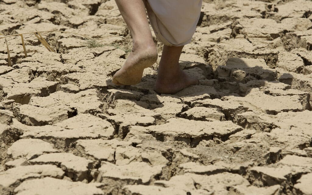בעל ואישה בודקים את אדמותיהם הצחיחות בגלל הבצורת דרומית לבגדד, עיראק, ביולי 2009 (צילום: AP Photo/Hadi Mizban) בעל ואישה בודקים את אדמותיהם הצחיחות בגלל הבצורת דרומית לבגדד, עיראק, ביולי 2009 (צילום: AP Photo/Hadi Mizban)