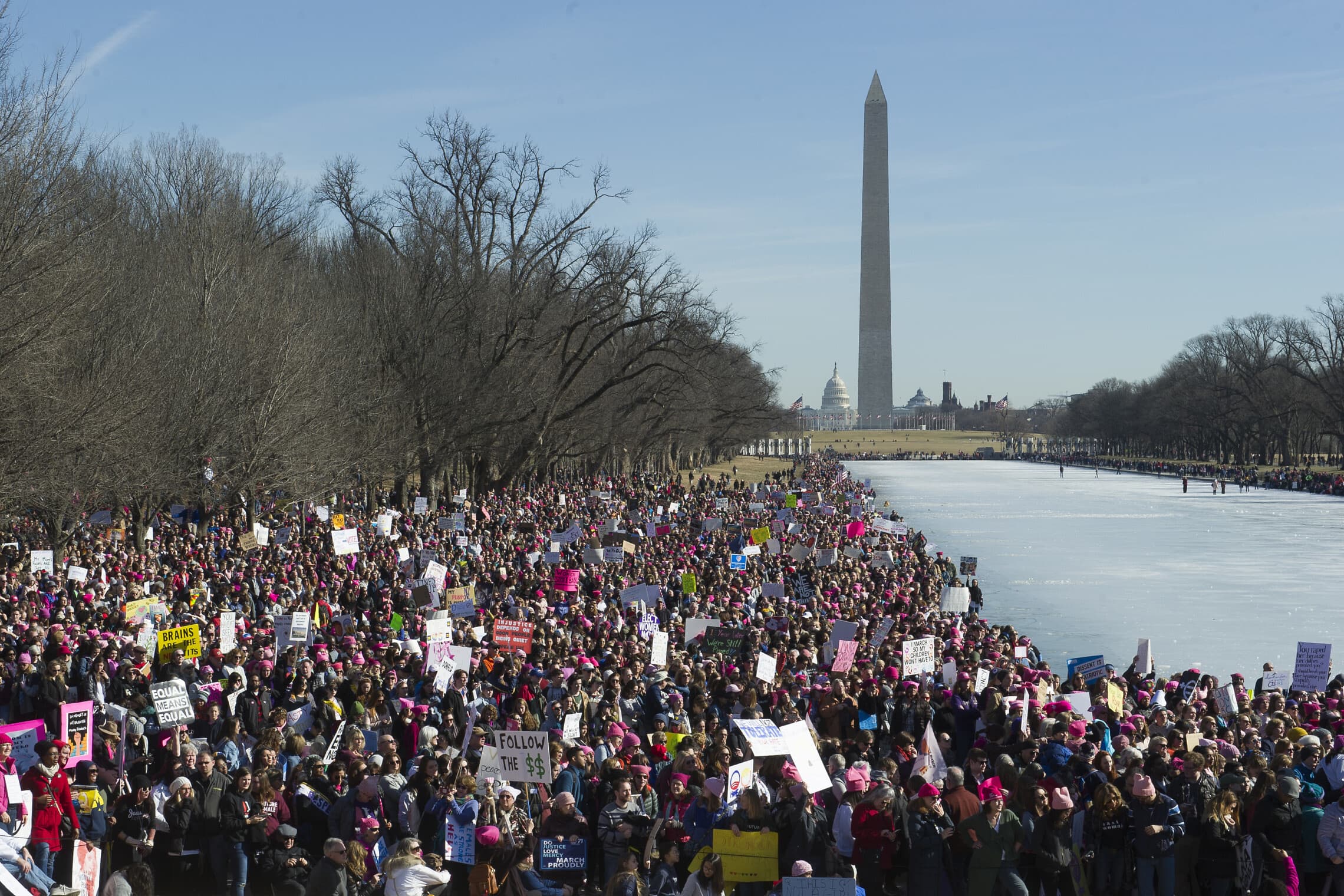 צעדת נשים נגד בחירת טראמפ בוושינגטון הבירה, 2018 (צילום: (AP Photo/Cliff Owen, File)