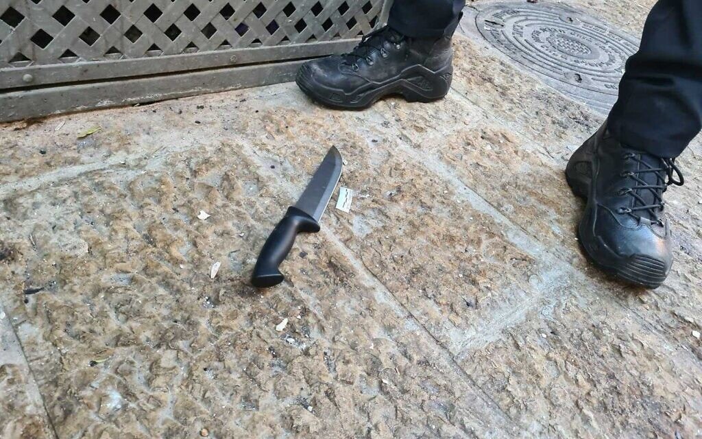 סכין ששימש פלסטינית שניסתה לדקור שוטרים, 30.9.2021 (צילום: דוברות המשטרה) סכין ששימש פלסטינית שניסתה לדקור שוטרים, 30.9.2021 (צילום: דוברות המשטרה)