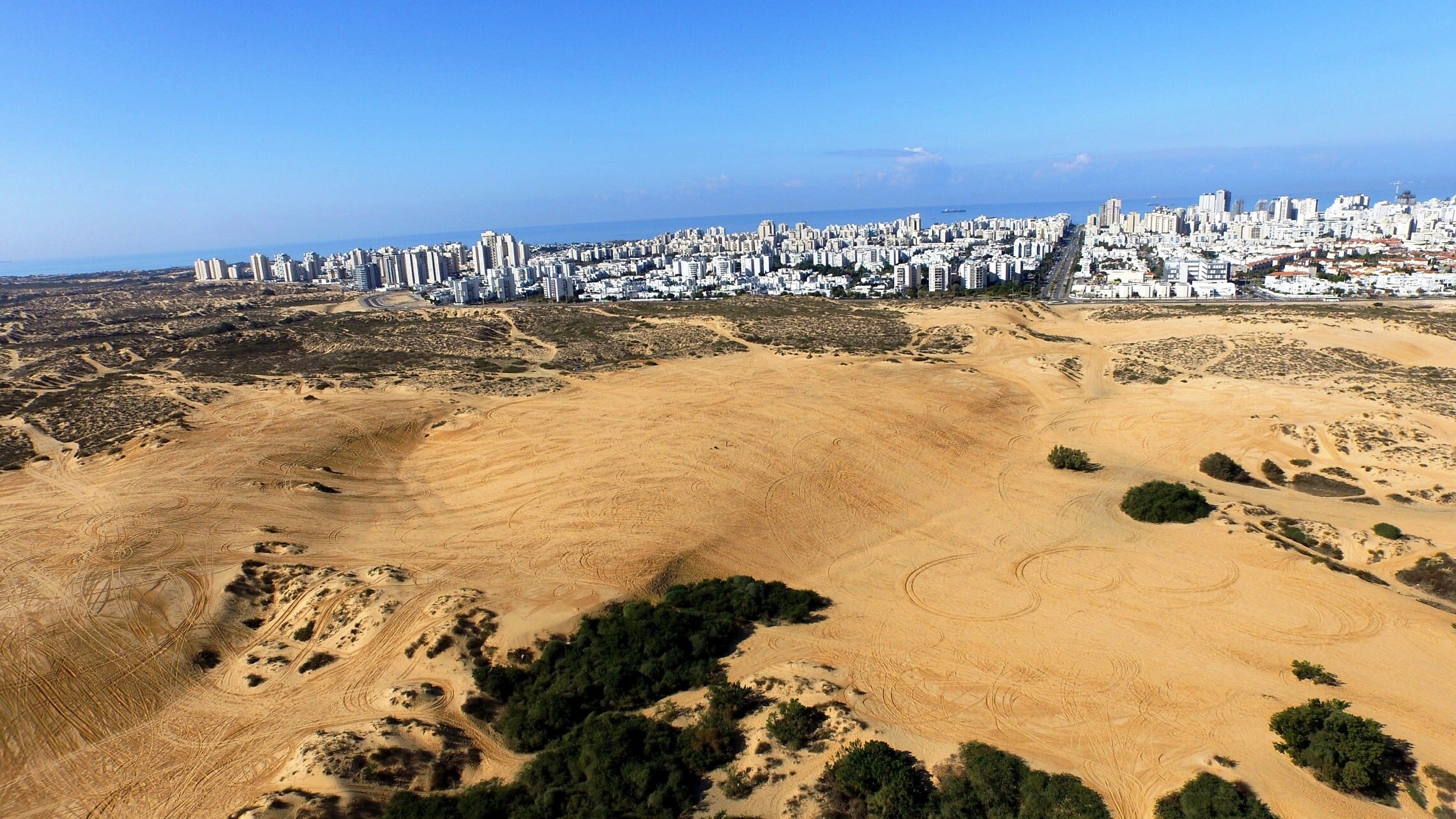 הדיונה הגדולה באשדוד (צילום: החברה להגנת הטבע)