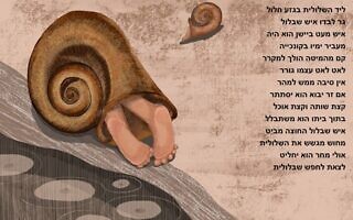 שבלול, מתוך ספר הילדים שאיילת ברוקס כותבת ומאיירת שבלול, מתוך ספר הילדים שאיילת ברוקס כותבת ומאיירת