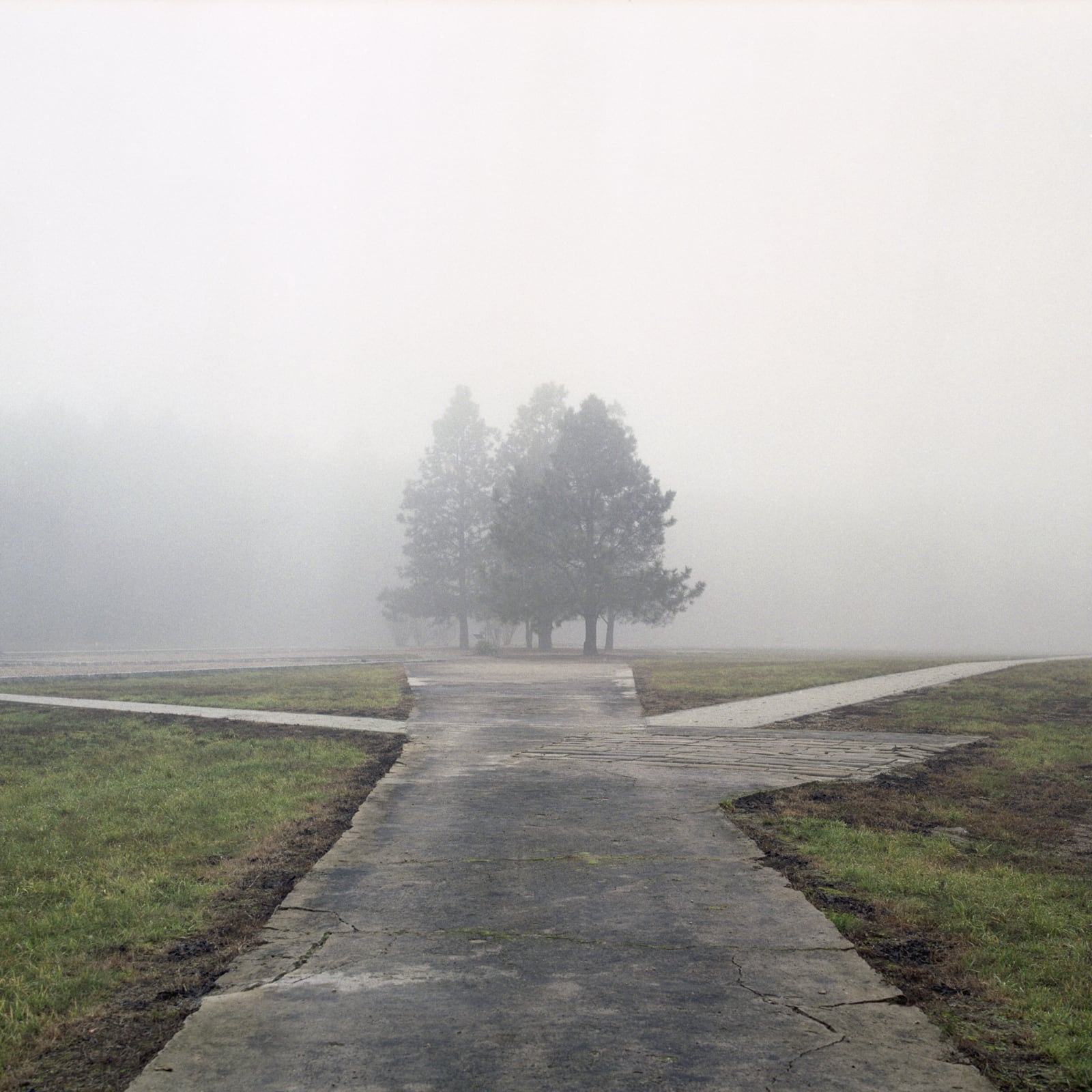 האזור שמימין לקרמטוריום במחנה היער, מחנה ההשמדה חלמנו. יער ז&#039;וכוב, פולין, 2015 (צילום: מארק וילסון)