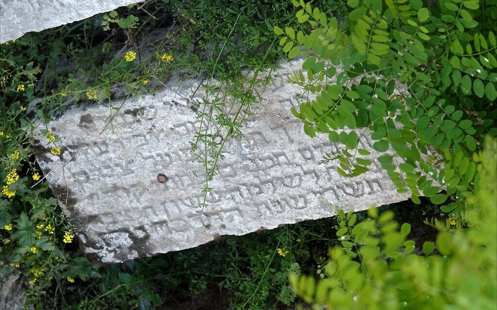 המצבה הזאת היא אחת הבודדות שנותרו בבית הקברות היהודי באלפו, סוריה (צילום: לארי לוקסנר)