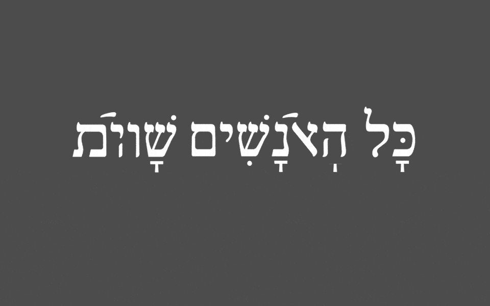 הגופן עברית רב-מגדרית שעיצבה מיכל שומר (צילום: מגזין אות־אות־אות)