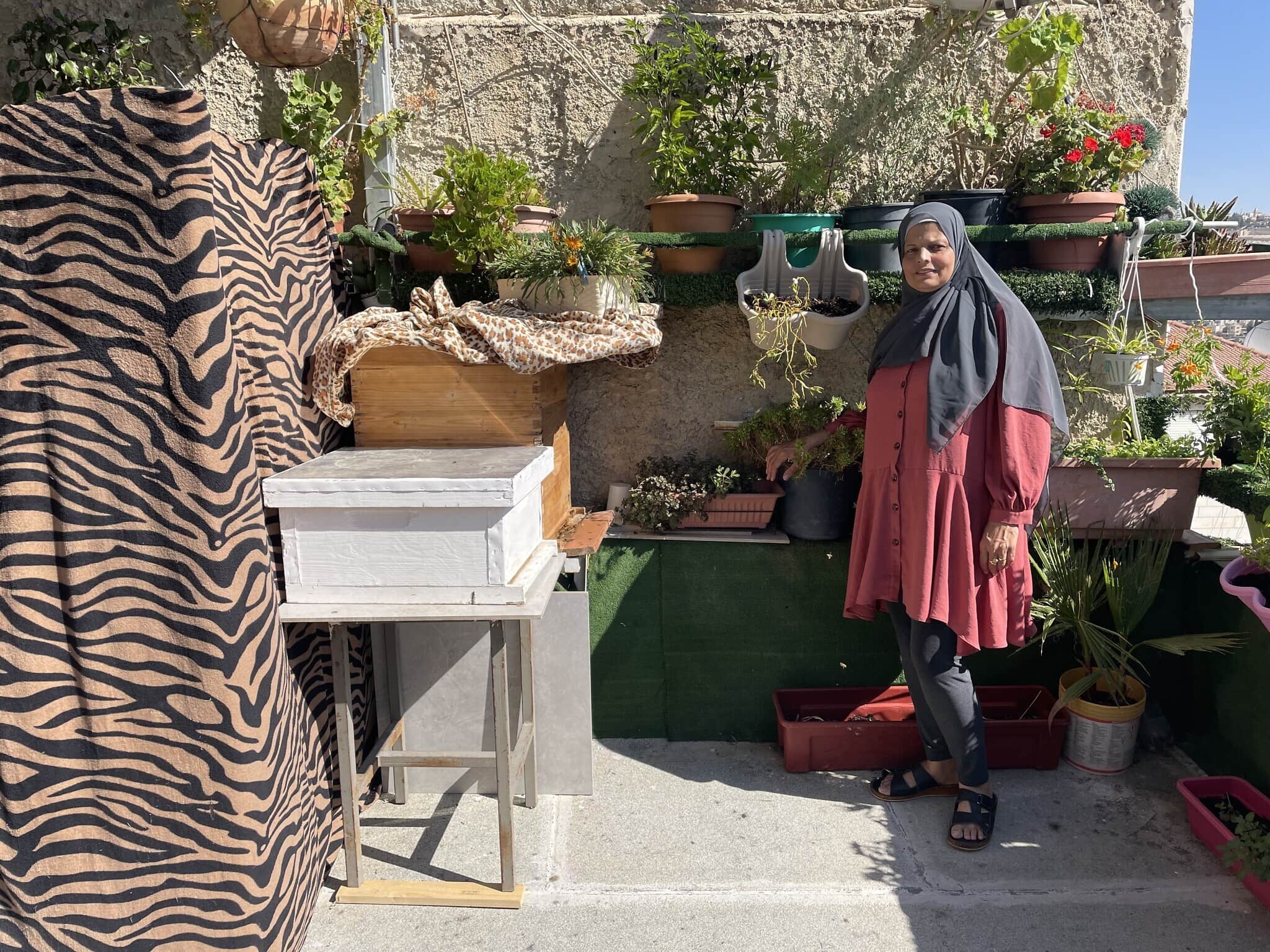 זהייה אבו ארמיילה עם הכוורת שלה בשכונת אבו תור במזרח ירושלים (צילום: סו סורקיס)