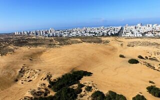 הדיונה הגדולה באשדוד (צילום: החברה להגנת הטבע) הדיונה הגדולה באשדוד (צילום: החברה להגנת הטבע)