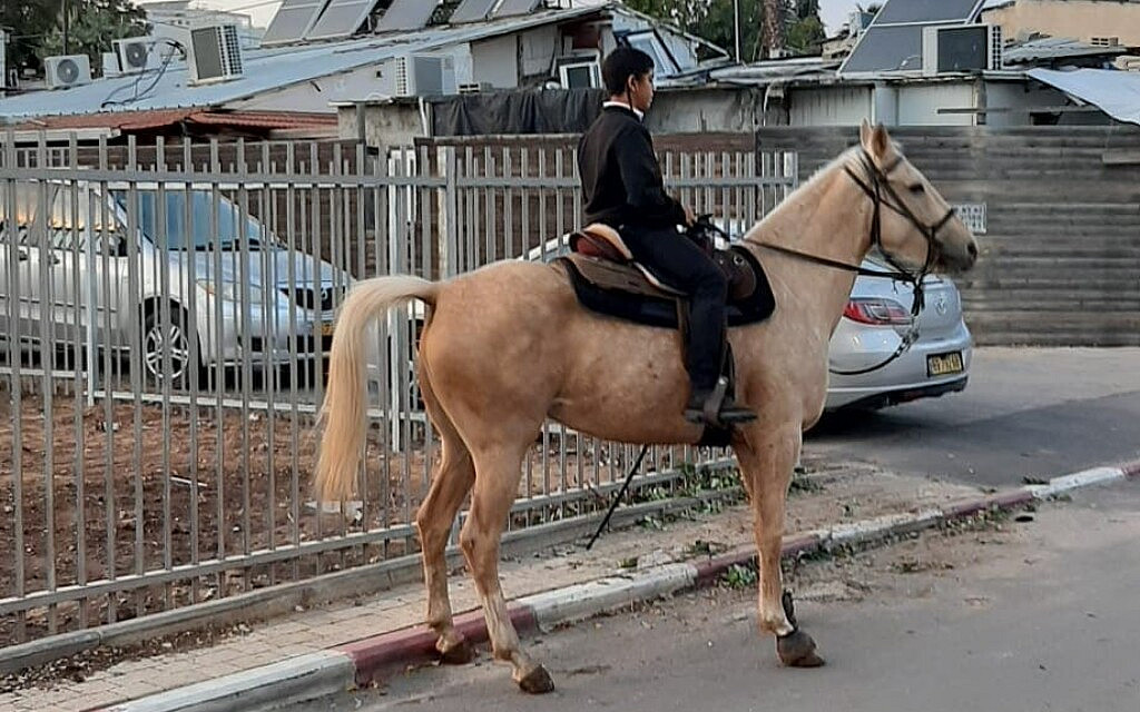 ילד על סוס ברחוב עובדיה בידאני בדרום מזרח תל אביב. המרחב הפתוח איפשר לתרבות הרכיבה לשגשג באזור