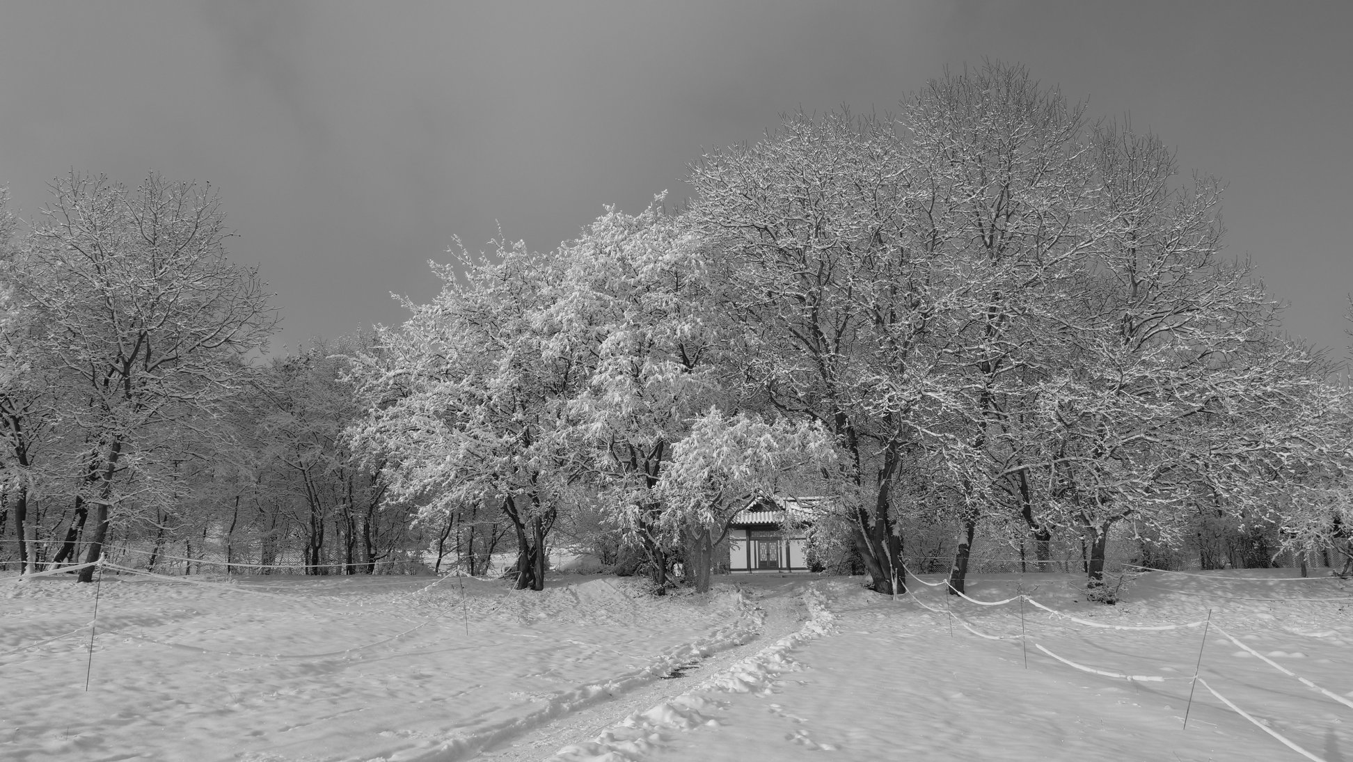 המנזר בחורף (צילום: Won Kwang Sa)