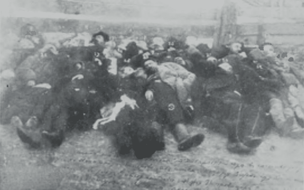 גופותיהם של הקורבנות היהודים בפוגרום באוברוץ&#039;, אוקראינה, פברואר 1919 (צילום: רשות הכלל)