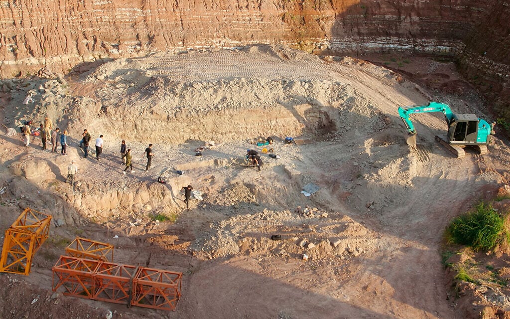 עובדים חופרים באתר מאובני דינוזאורים ביאנג&#039;י, סין, 1 בספטמבר 2018 (צילום: AP/Sam McNeil)