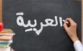 לימוד ערבית. אילוסטרציה (צילום: iStock) לימוד ערבית. אילוסטרציה (צילום: iStock)