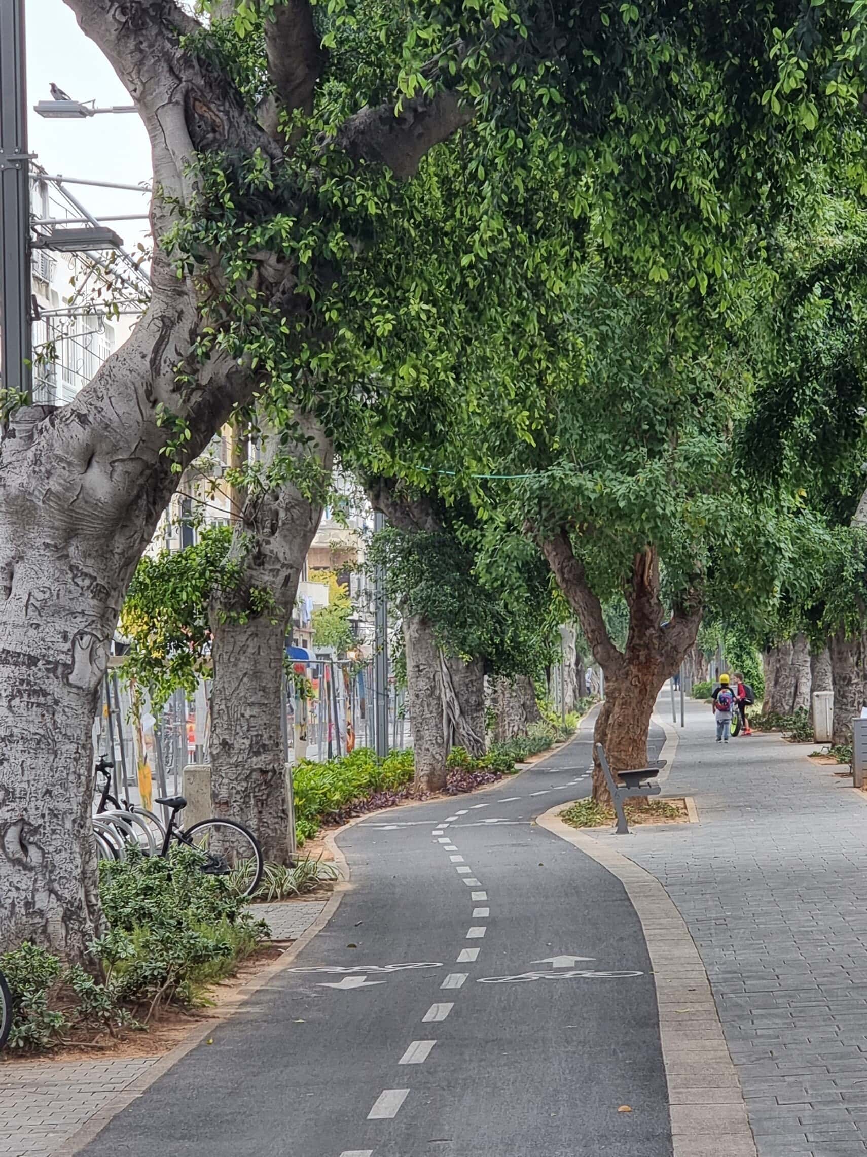שדרות ירושלים, דצמבר 2021: איפה שיש שביל אופניים &#8211; הוא יפה להפליא (צילום: אביב לביא)