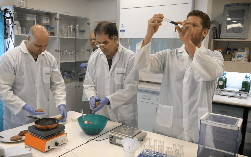 מכינים קציצות והמבורגרים צמחוניים במעבדה של ימוג&#039;ה (צילום: ימוג&#039;ה)