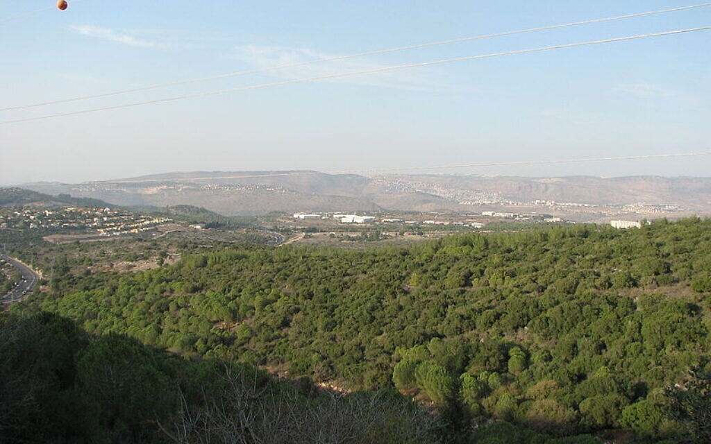 נוף במועצה האזורית משגב, מבט מכיוון ידפת (צילום: Hanay, מתוך ויקיפדיה)