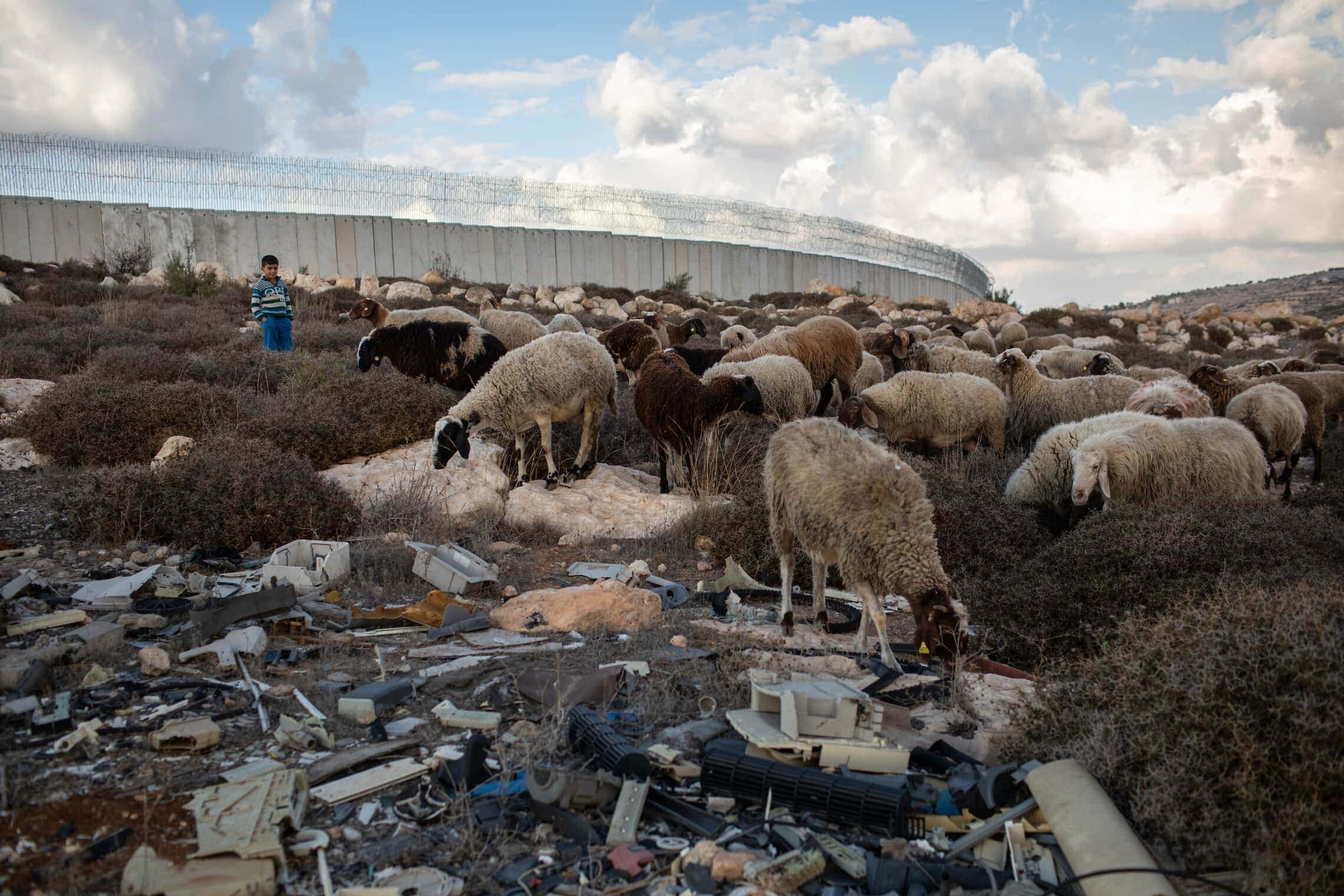 אשפה ופסולת לאורך חומת ההפרדה. רועי צאן מקומיים מתלוננים שהזיהום גורם למומים בבעלי החיים (צילום: Tamir Kalifa)
