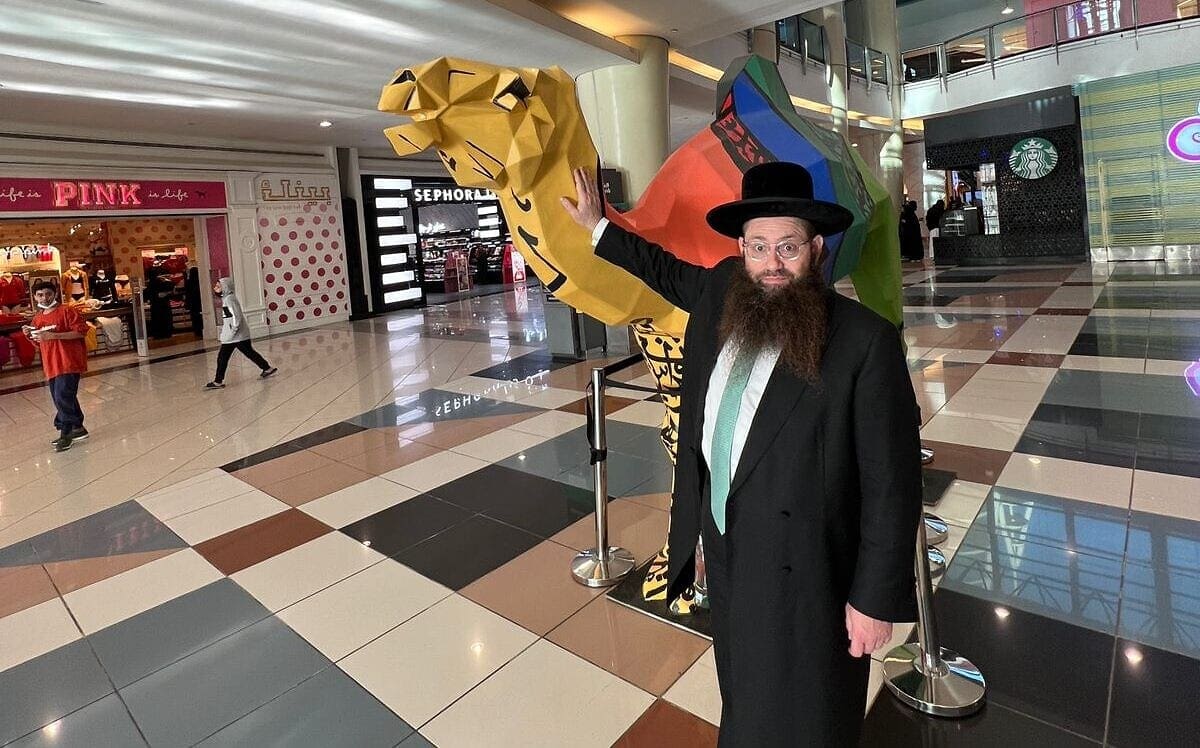 הרב יעקב ישראל הרצוג בקניון בריאד, נובמבר 2021 (צילום: באדיבות המצולם)
