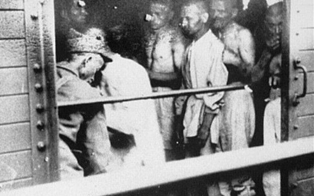 רופאי הצבא הרומני בודקים יהודים ב&quot;רכבת המוות&quot; מיאשי ב-1941 (צילום: רשות הציבור)