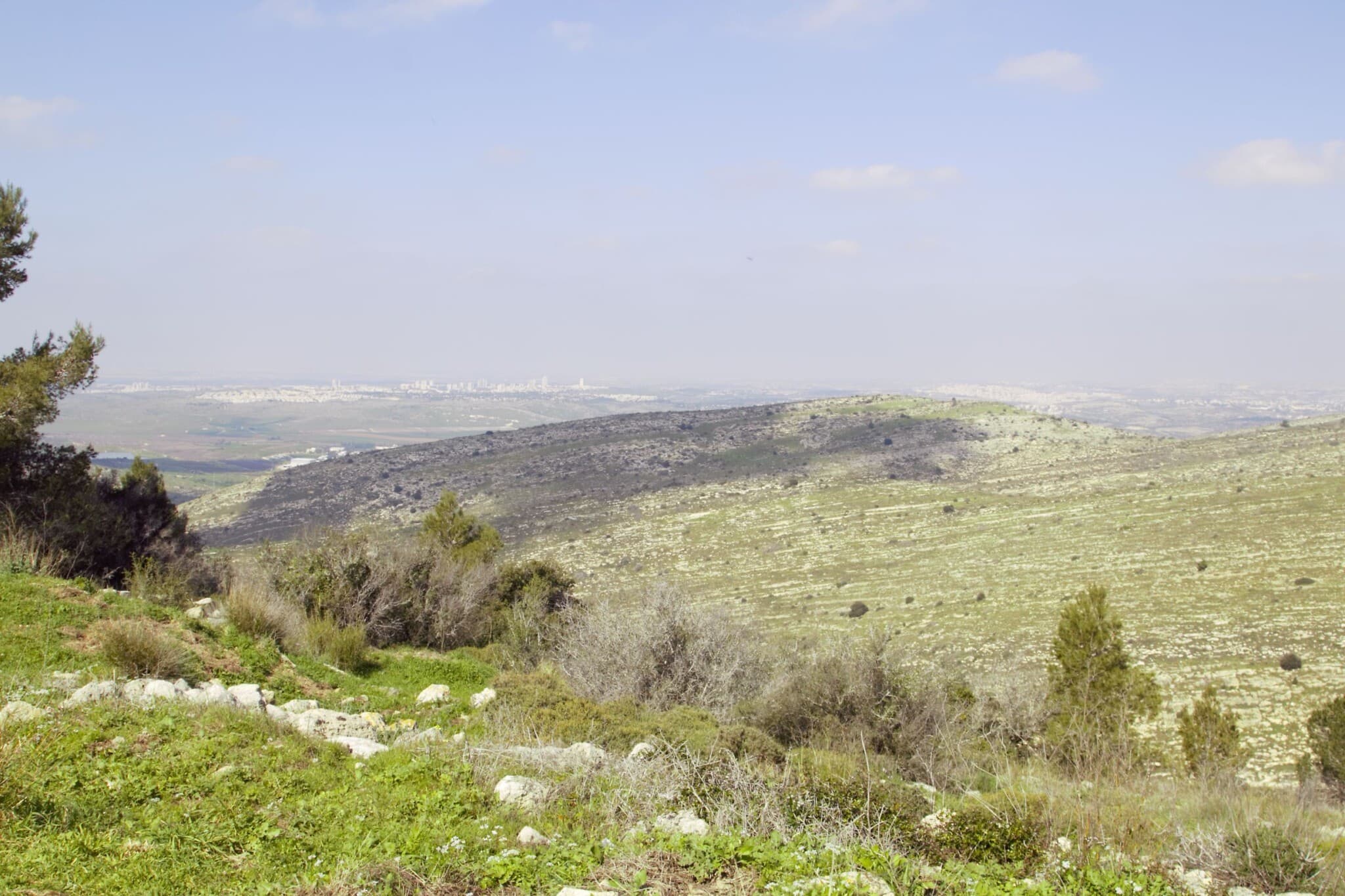 הנוף מחורבות המבצר החשמונאי ביער נווה אילן (צילום: שמואל בר־עם)