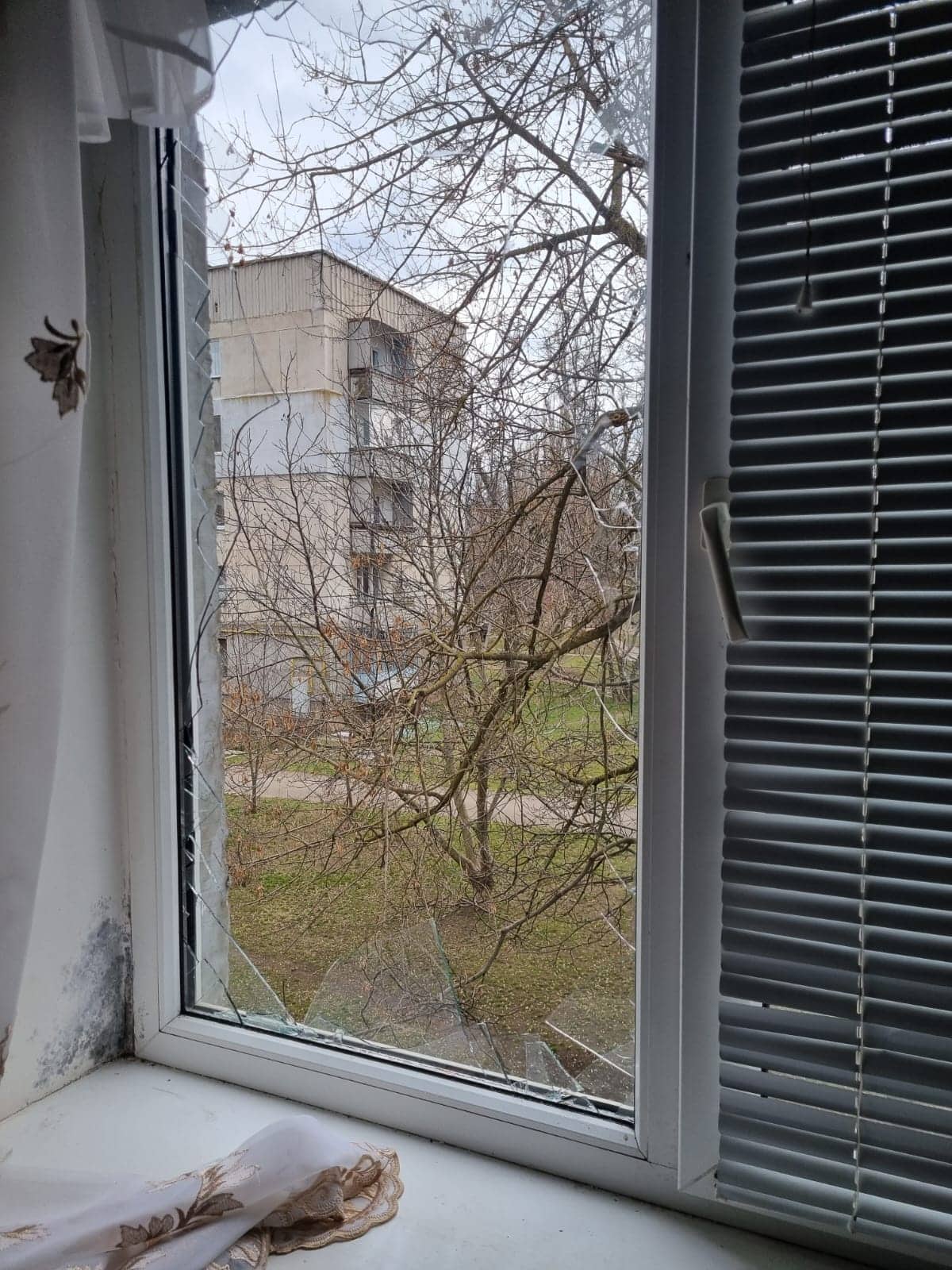 דירה זמנית לפליטים אוקראינים בגרמניה, מרץ 2022 (צילום: מריה אישינקוב)