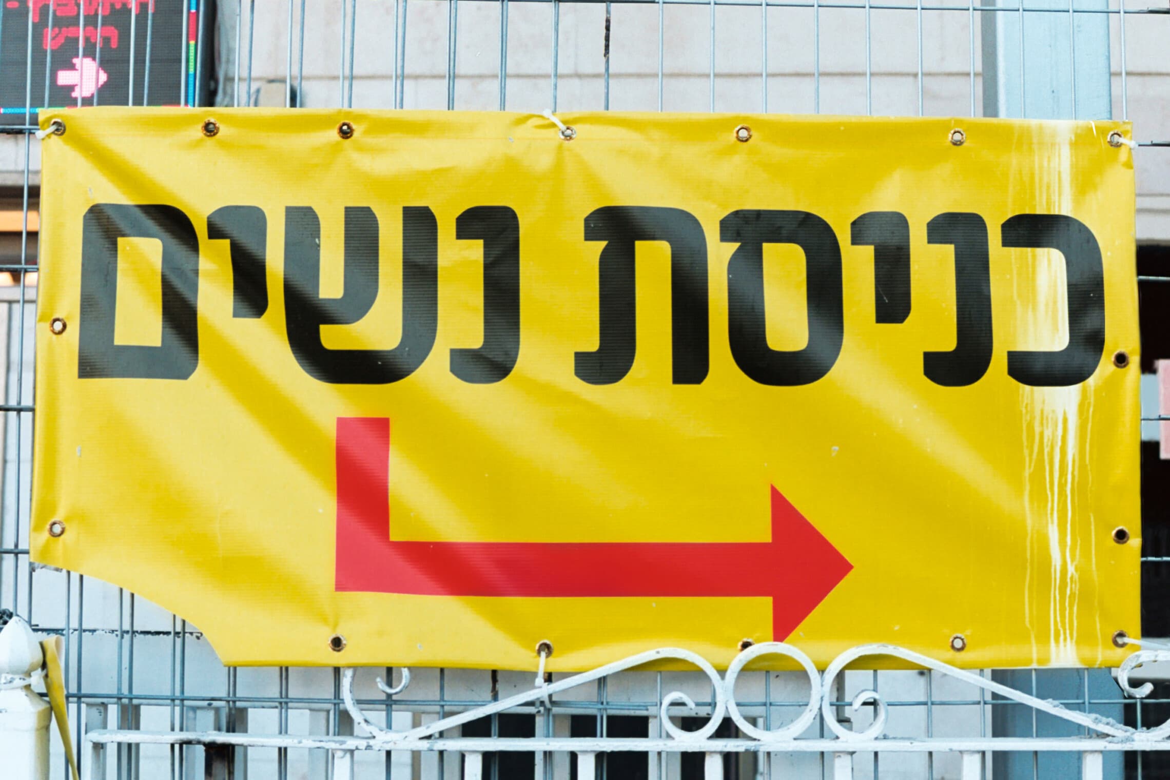 צולם ברחוב חשמונאים בתל אביב (צילום: אלכס פרפורי)
