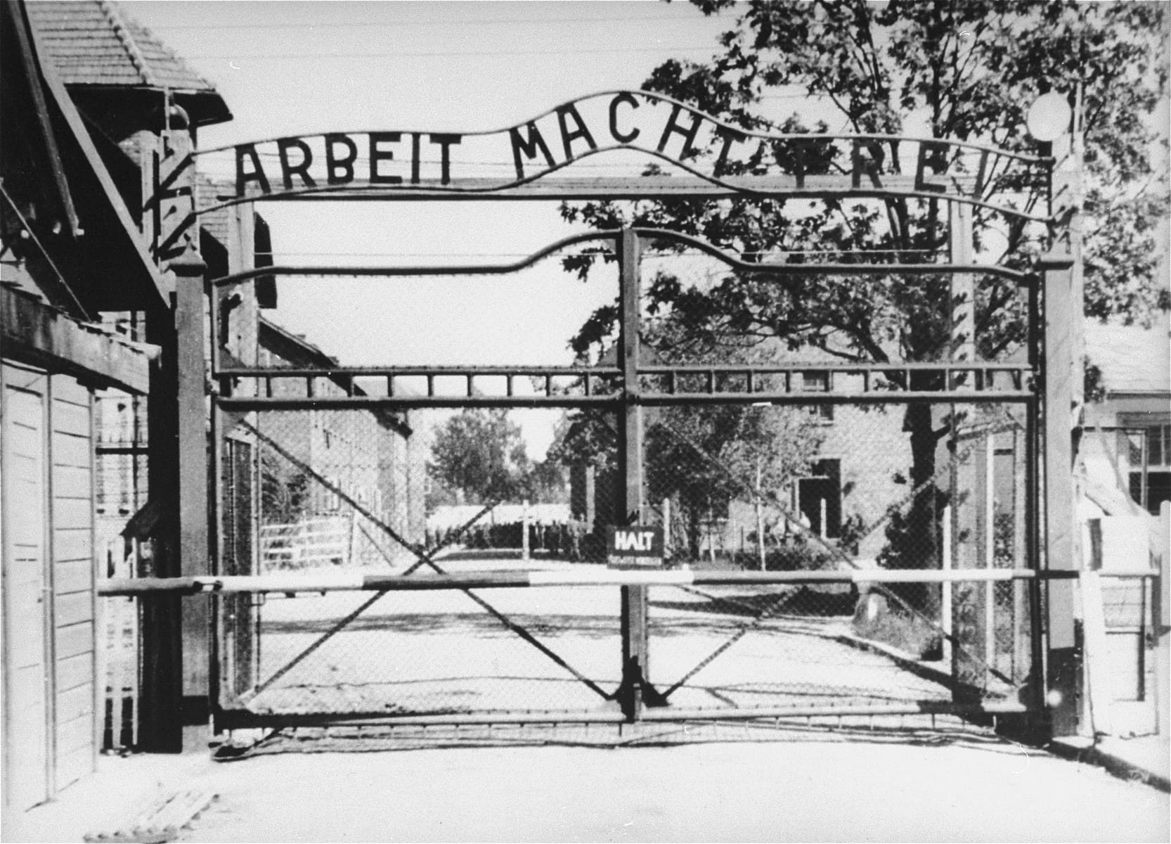 הכניסה למחנה אושוויץ-בירקנאו עם השלט &quot;העבודה משחררת&quot;, מאי 1945 (צילום: United States Holocaust Memorial Museum, courtesy of Instytut Pamieci Narodowej)