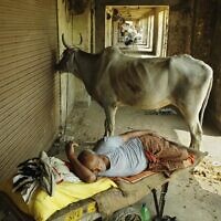 גל חום בהודו, אילוסטרציה (צילום: AP Photo/Gurinder Osan)