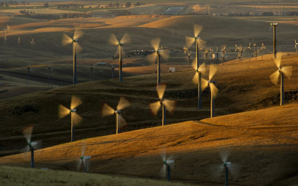 שדות של טורבינות רוח בקליפורניה (צילום: AP Photo/Noah Berger)