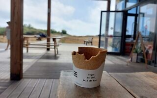 כוס קפה אכילה של רט"ג בתל דור. מאי 2022 (צילום: עומר שרביט)