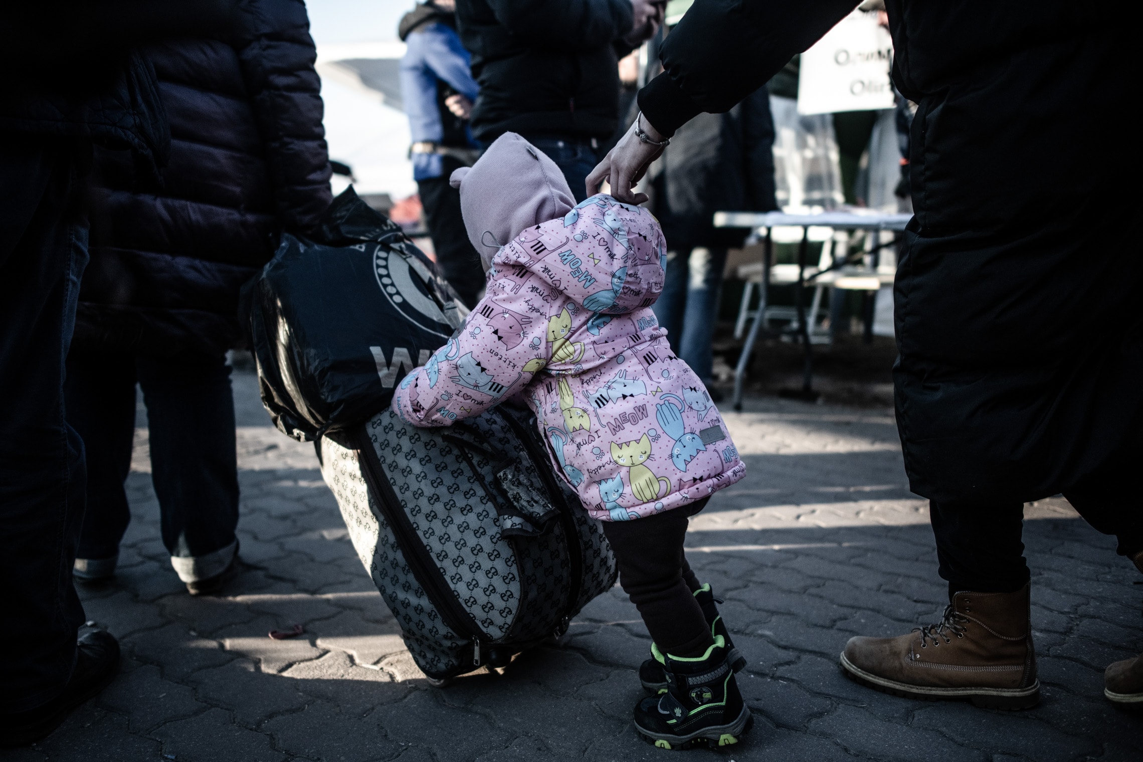 פליטים חוצים אל פולין ממעבר הגבול מדיקה (צילום: גילעד שדה)