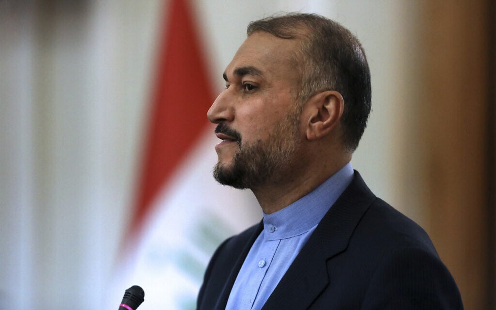 שר החוץ של איראן חוסיין אמיר עבדוללהיאן (צילום: AP Photo/Vahid Salemi)