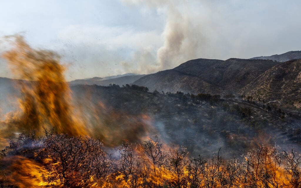 שרפות ענק בספרד בשל החום הקיצוני, 19 באוגוסט 2022 (צילום: AP Photo/Alberto Saiz)