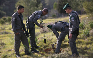 חיילי מג"ב שותלים עצים, אילוסטרציה. למצולמים אין קשר לנאמר בכתבה (צילום: יונתן זינדל/פלאש90)